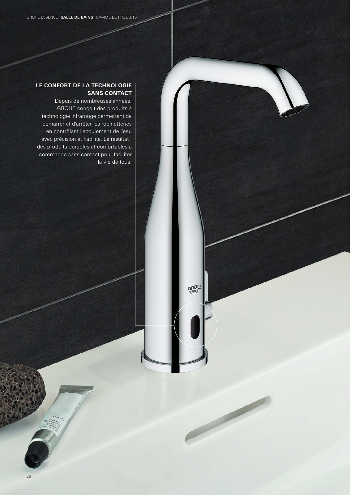 Vorschau BE-fr_Essence Seite 28
