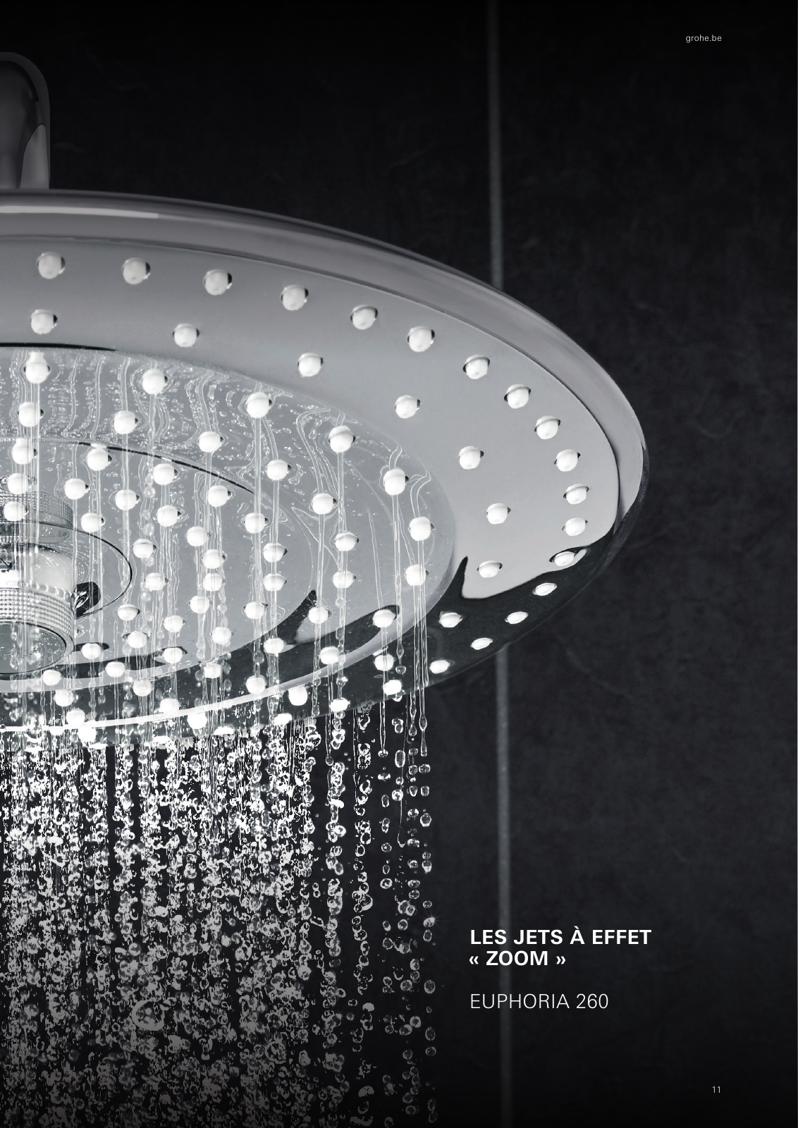 Vorschau BE-fr_Shower-Brochure Seite 13