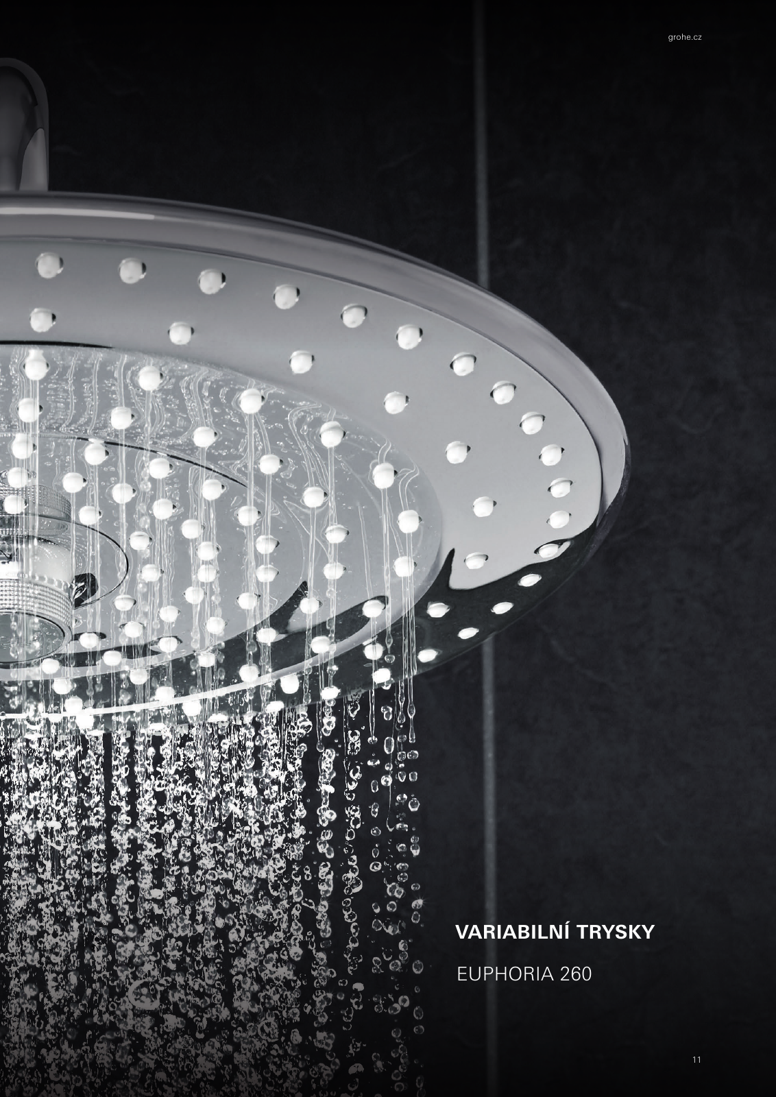 Vorschau CZ-cz_Shower-Brochure Seite 13