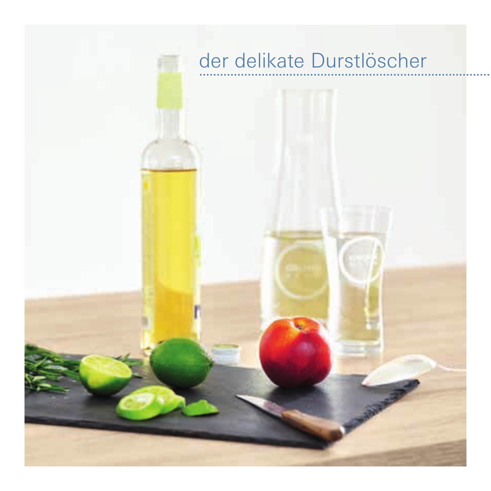 Vorschau DE_de_RecipeBooklet_BLUE Seite 24
