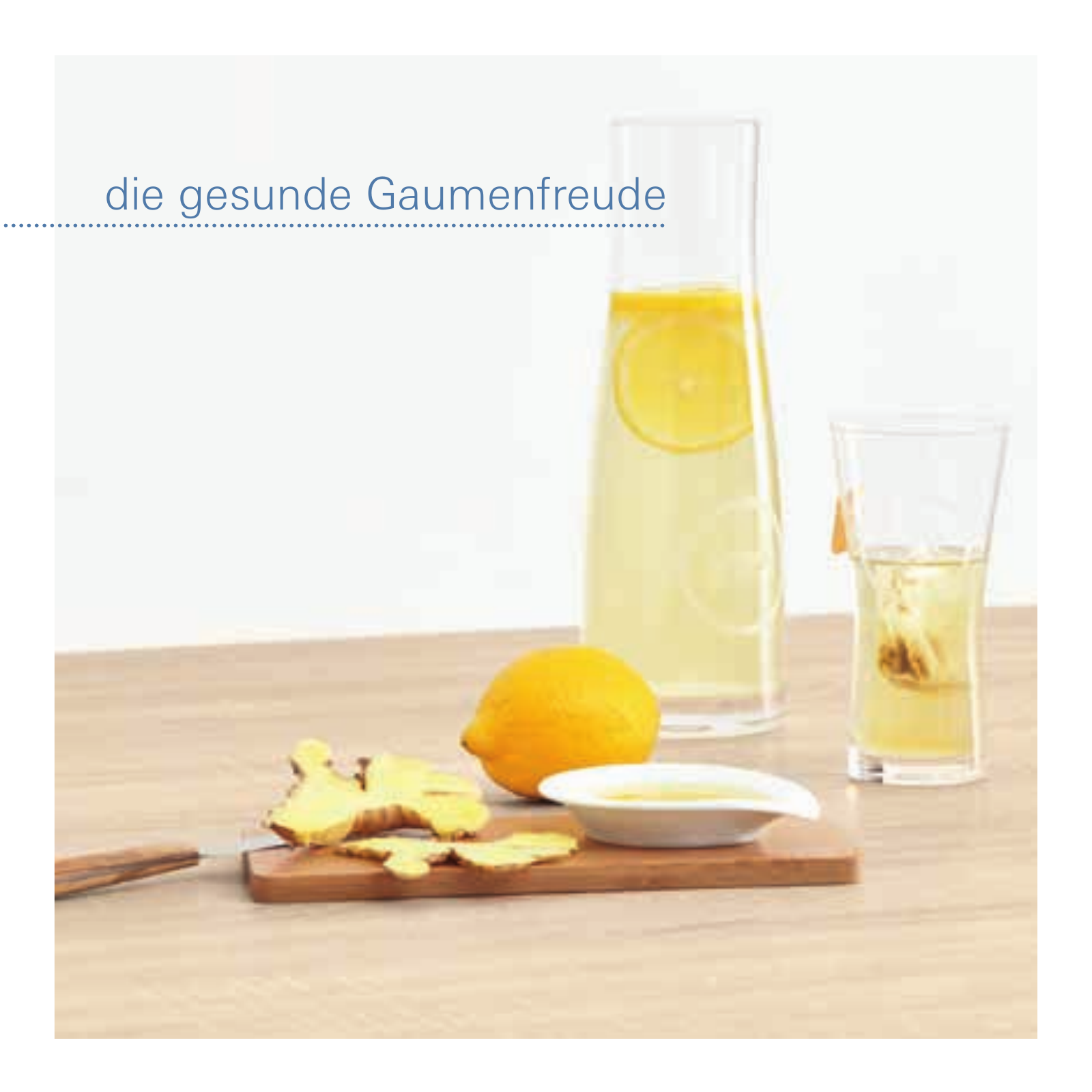 Vorschau DE_de_RecipeBooklet_BLUE Seite 19