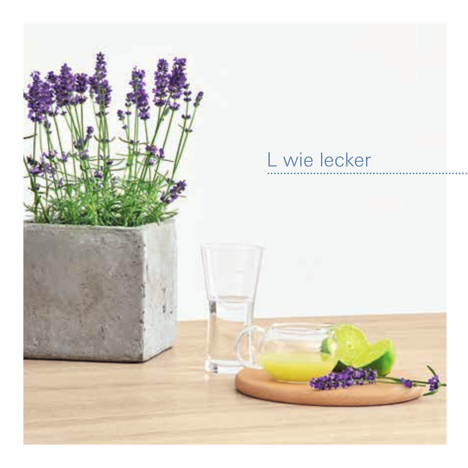 Vorschau DE_de_RecipeBooklet_BLUE Seite 20