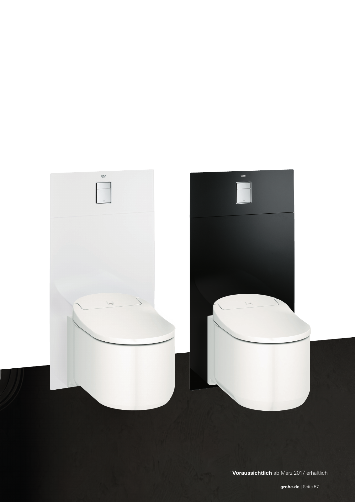 Vorschau GROHE_Shower_Toilet_2017_DE Seite 57