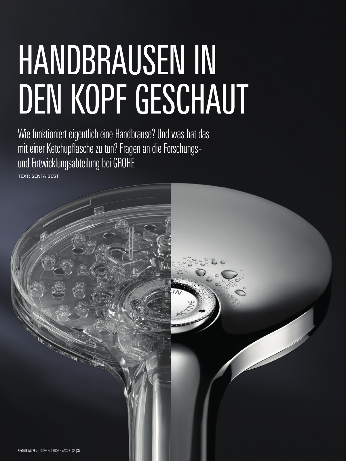 Vorschau GROHE-BW-Magazine-1_de-de Seite 36