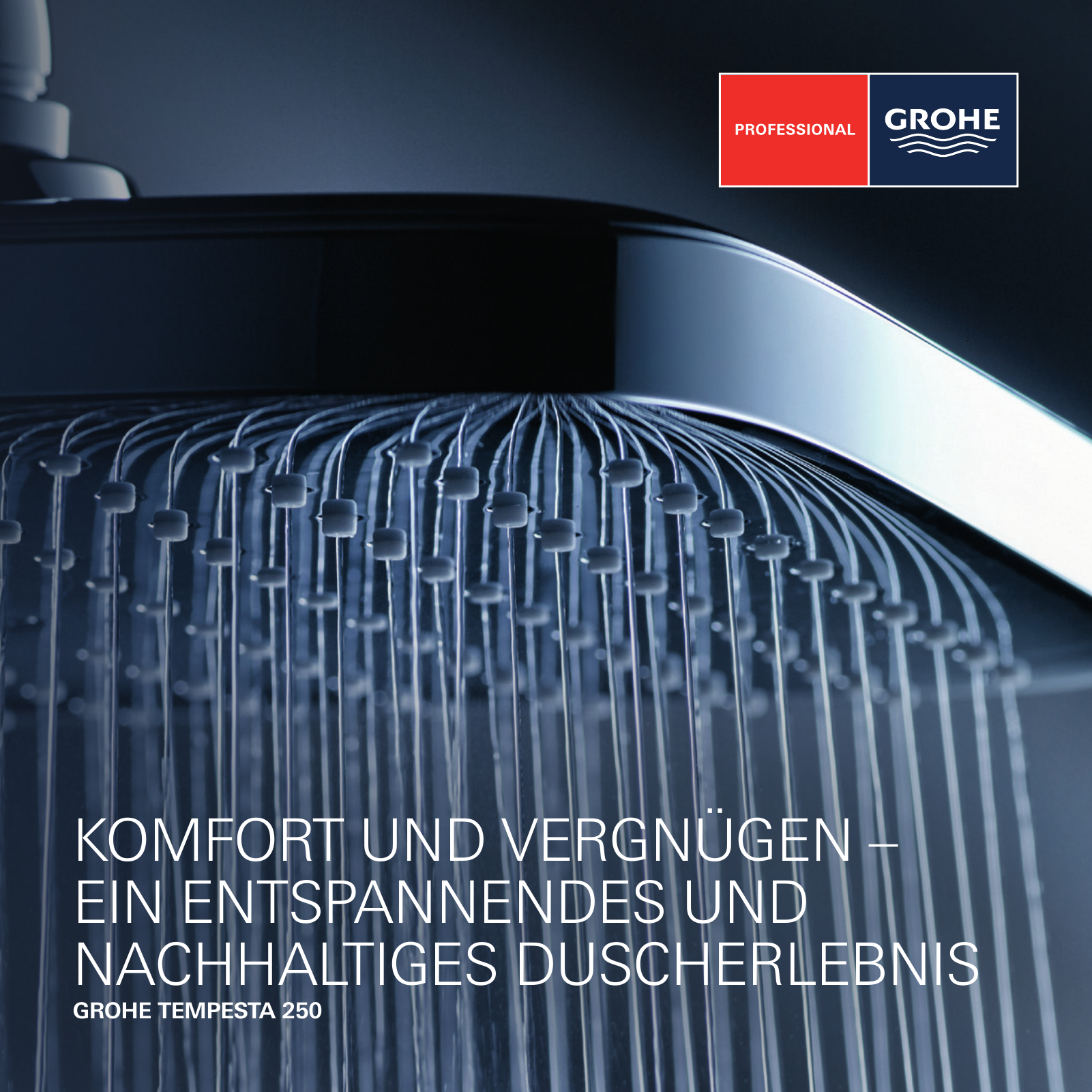 Vorschau GROHE-Tempesta-250-Flyer_de-de Seite 1