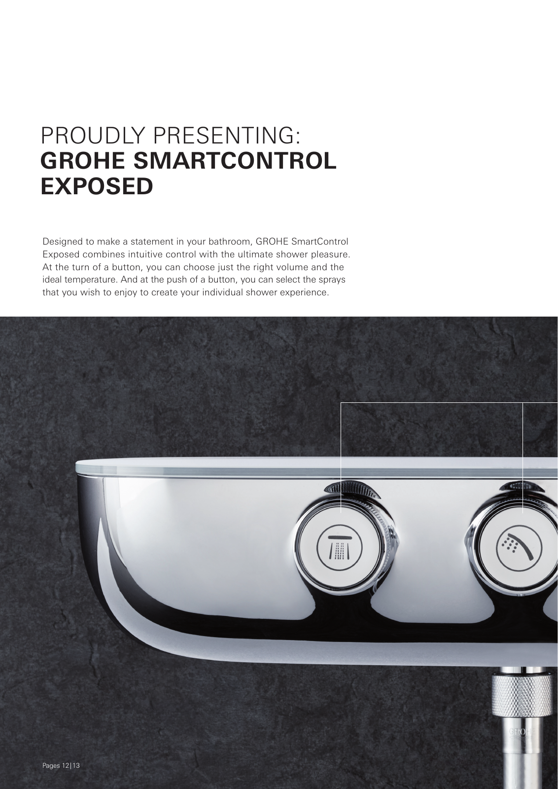 Vorschau SmartControl_Broschuere_EN_2017 Seite 12