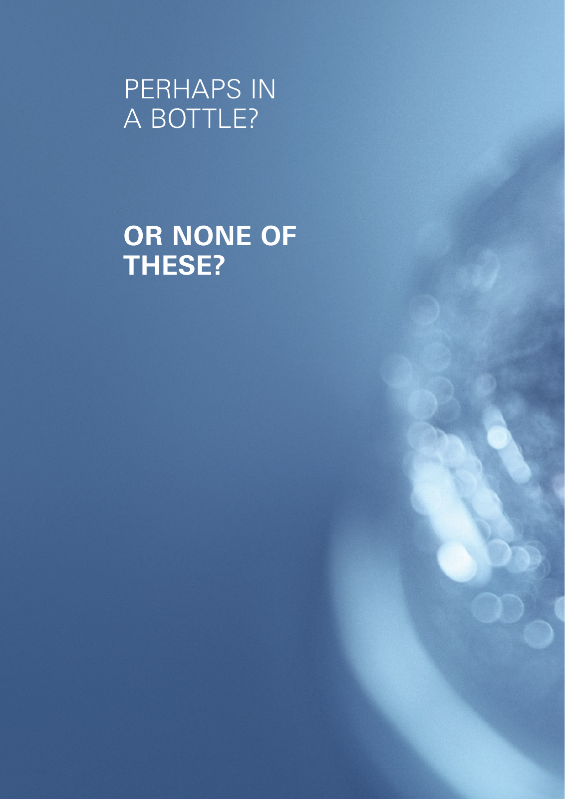 Vorschau BlueHome-Brochure_en-gb Seite 8