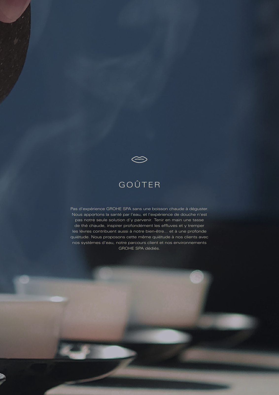 Vorschau GROHE-SPA-LookBook_fr_BE Seite 19