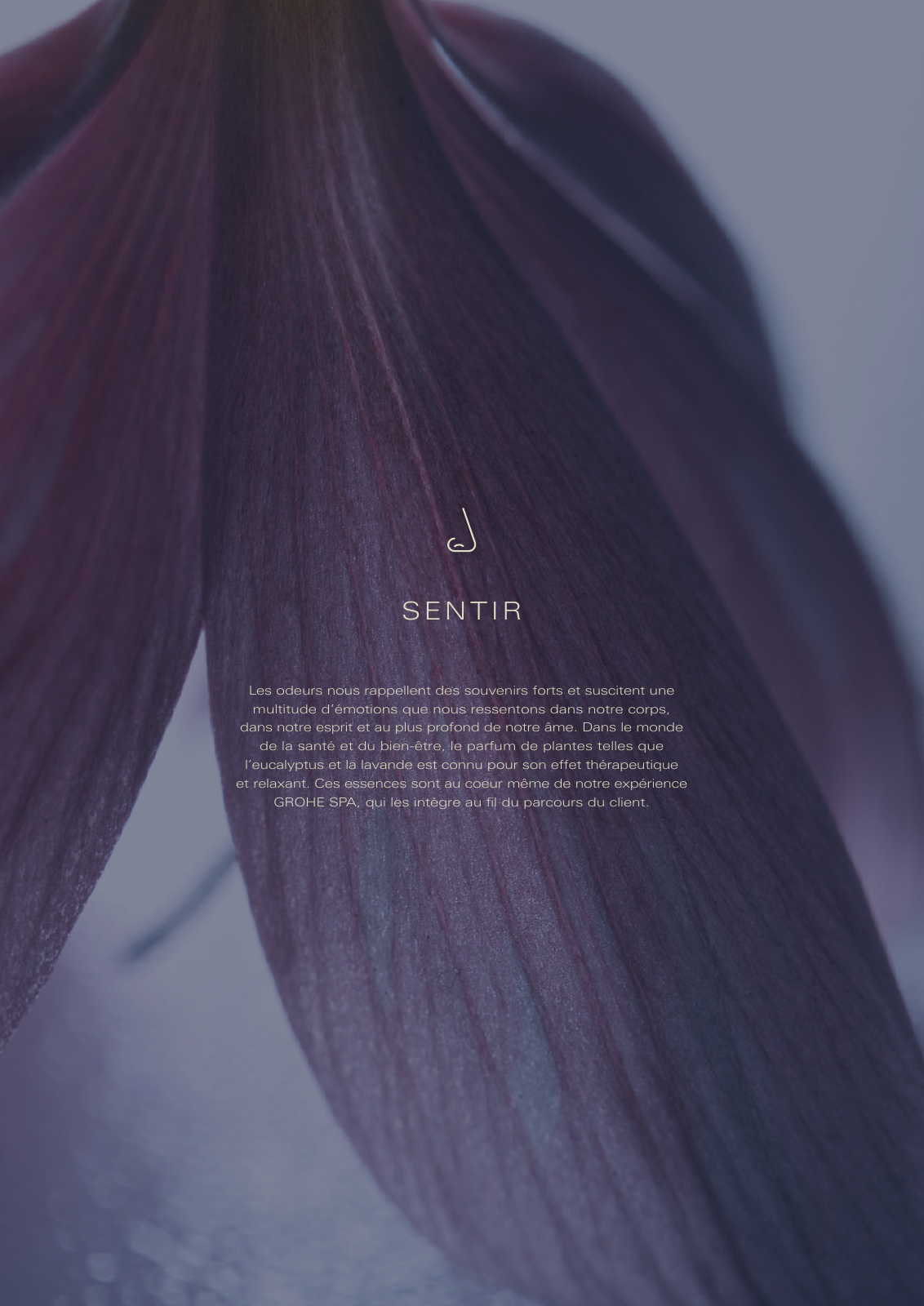 Vorschau GROHE-SPA-LookBook_fr_BE Seite 15