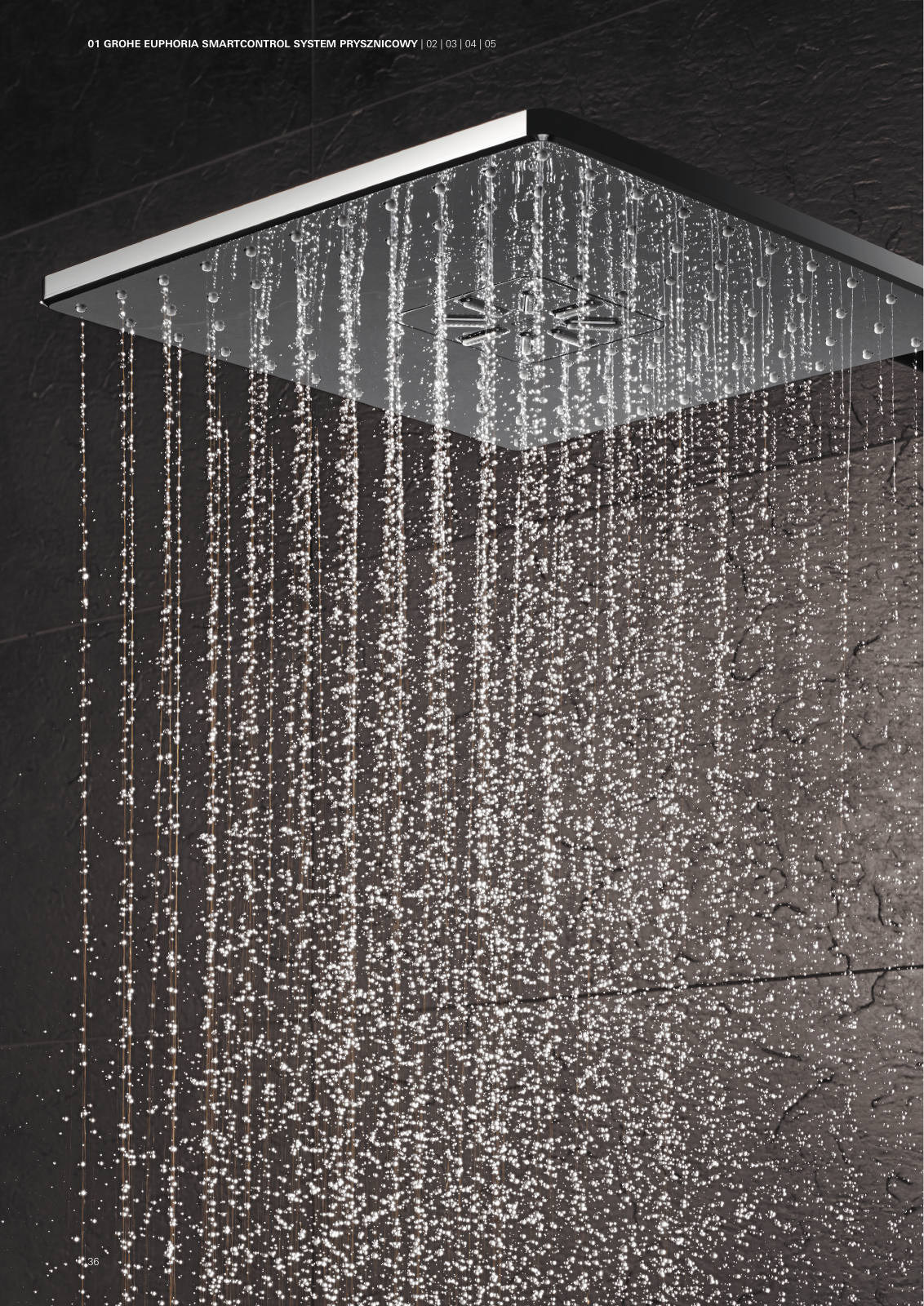 Vorschau SmartControl-Euphoria-G4-Brochure_pl-pl Seite 36